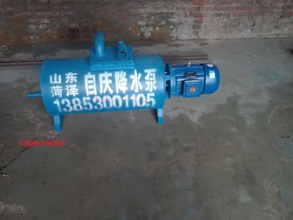 中国降水泵.jpg